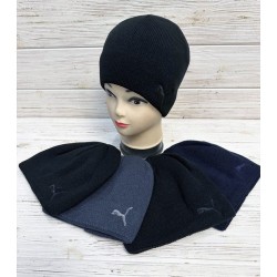 Шапка чоловіча 5 шт (норма) в'язка/фліс ML903_151009