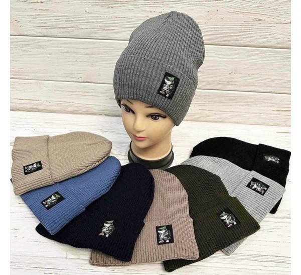 Шапка дитяча 5 шт (52-55 р) в'язка/фліс ML903_141088