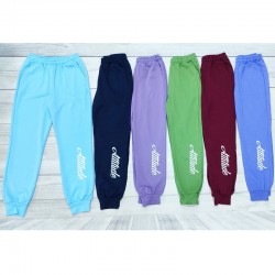 Спорт штани жіночі, 2-нитка 5 шт (48-56 р) MuK_44048