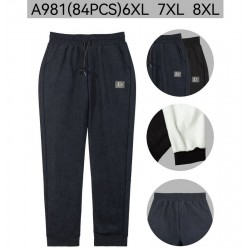 Штани жіночі 6 шт (6-8XL) фліс PaH_A981