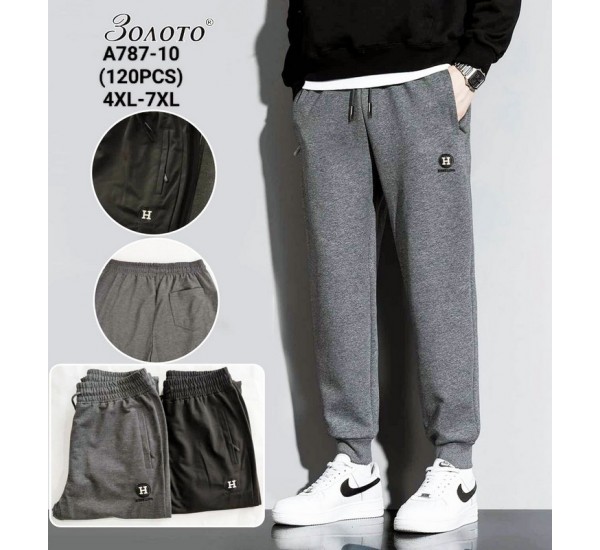 Спорт штаны мужские 6 шт (4-7XL) коттон PaH_A787-10