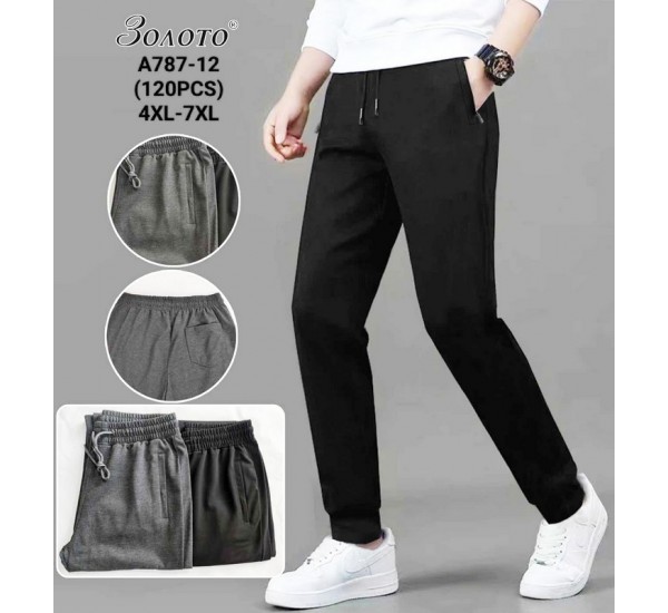 Спорт штаны мужские 6 шт (4-7XL) коттон PaH_A787-12