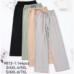 Штани жіночі 6 шт (3-7XL) коттон PaH_9813-1