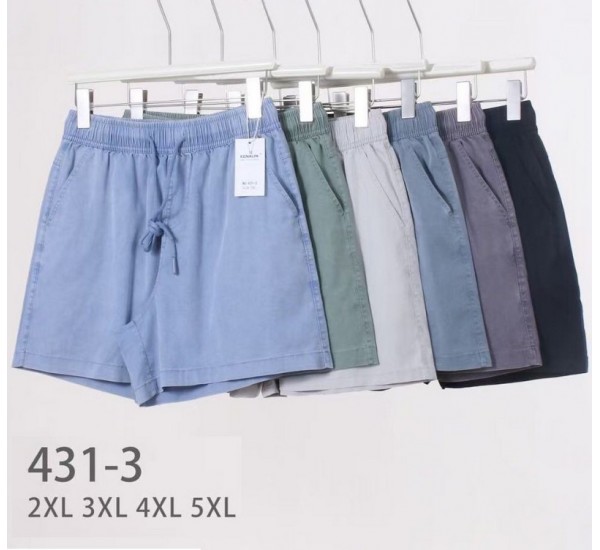 Шорти жіночі 6 шт (2-5XL) коттон PaH_431-3