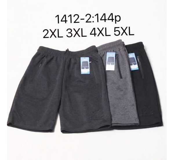 Шорти чоловічі 6 шт (2-5XL) коттон PaH_1412-2