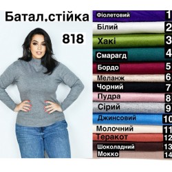 Гольф жіночий 5 шт (54-58 р) кашемір RZ4492_818