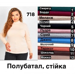 Гольф жіночий 5 шт (48-52 р) кашемір RZ4492_718