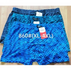 Труси чоловічі 12 шт (1-4XL) масло RZ6000_860