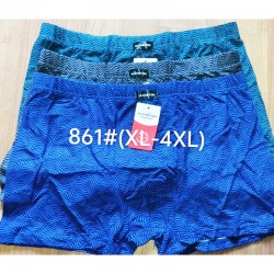 Труси чоловічі 12 шт (1-4XL) масло RZ6000_861