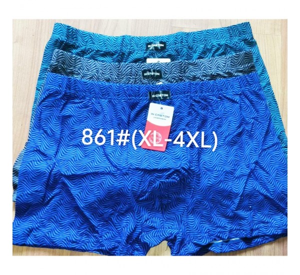 Труси чоловічі 12 шт (1-4XL) масло RZ6000_861