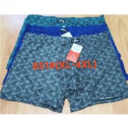 Труси чоловічі 12 шт (1-4XL) масло RZ6000_851