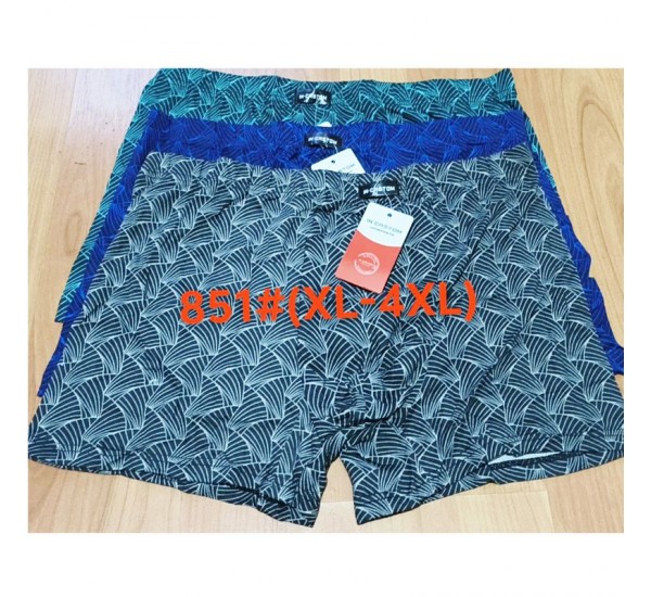 Труси чоловічі 12 шт (1-4XL) масло RZ6000_851