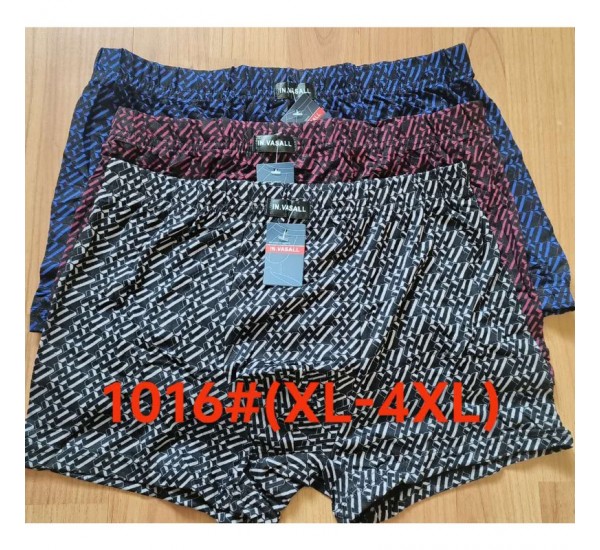 Труси чоловічі 12 шт (1-4XL) масло RZ6000_1016