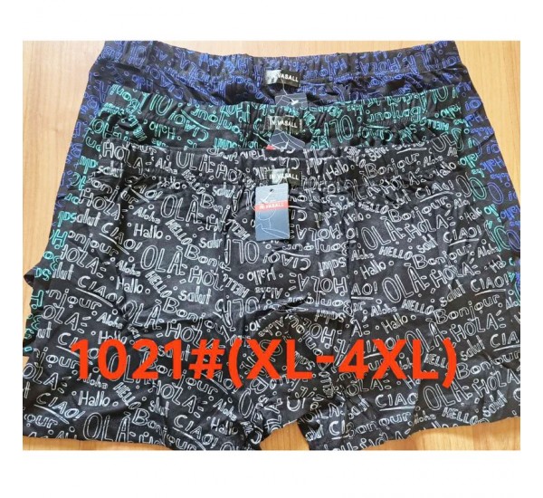 Труси чоловічі 12 шт (1-4XL) масло RZ6000_1021