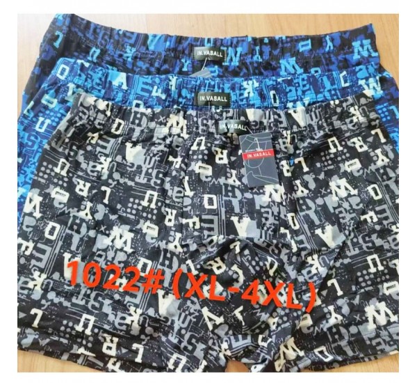 Труси чоловічі 12 шт (1-4XL) масло RZ6000_1022