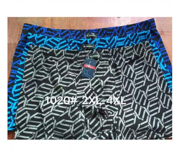 Труси чоловічі 12 шт (2-4XL) масло RZ6000_1020