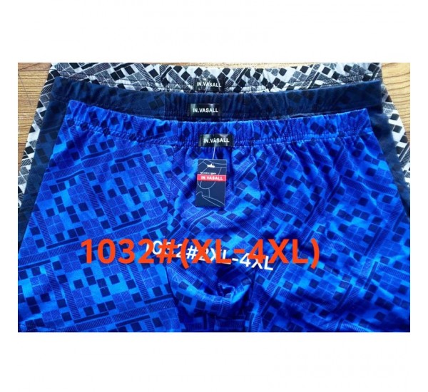 Труси чоловічі 12 шт (1-4XL) масло RZ6000_1032