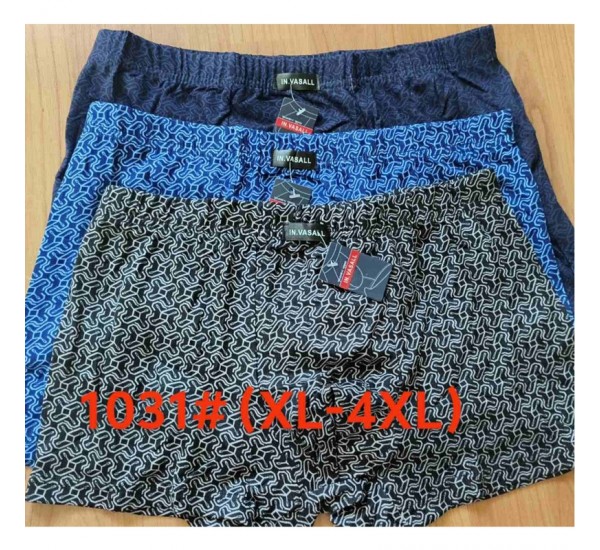 Труси чоловічі 12 шт (1-4XL) масло RZ6000_1031