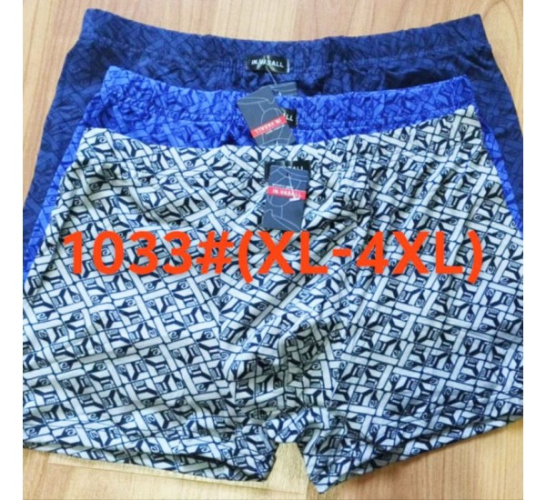 Труси чоловічі 12 шт (1-4XL) масло RZ6000_1033