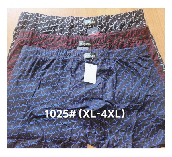 Труси чоловічі 12 шт (1-4XL) масло RZ6000_1025