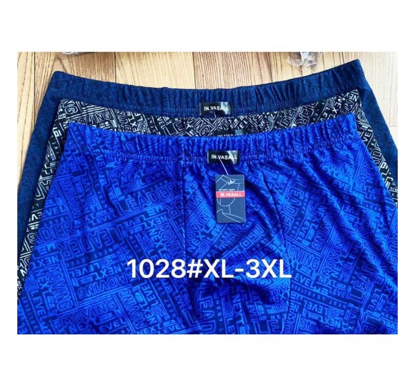 Труси чоловічі 12 шт (1-3XL) масло RZ6000_1028