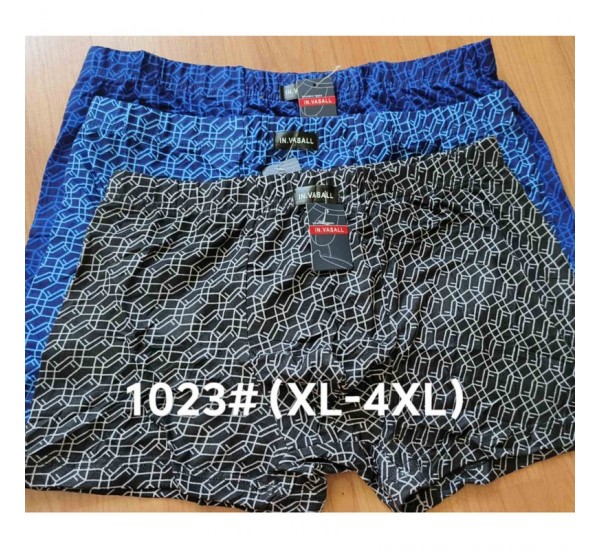 Труси чоловічі 12 шт (1-4XL) масло RZ6000_1023