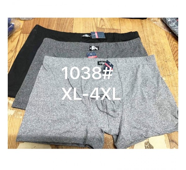 Труси чоловічі 12 шт (1-4XL) масло RZ6000_1038