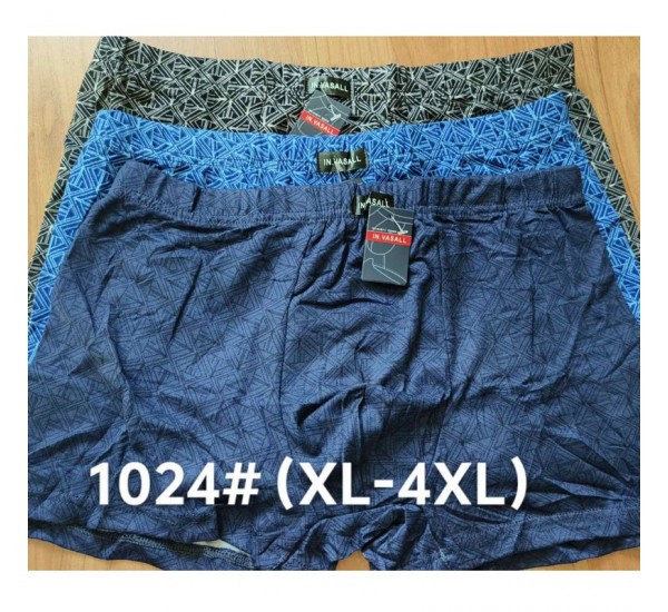 Труси чоловічі 12 шт (1-4XL) масло RZ6000_1024
