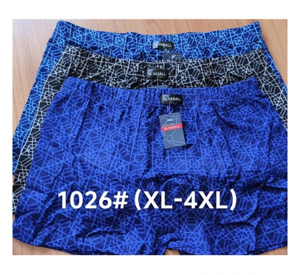 Труси чоловічі 12 шт (1-4XL) масло RZ6000_1026