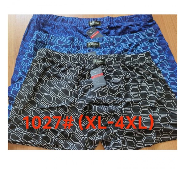 Труси чоловічі 12 шт (1-4XL) масло RZ6000_1027