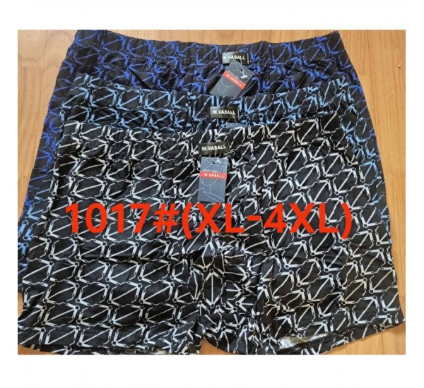 Труси чоловічі 12 шт (1-4XL) масло RZ6000_1017