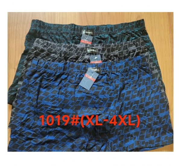 Труси чоловічі 12 шт (1-4XL) масло RZ6000_1019