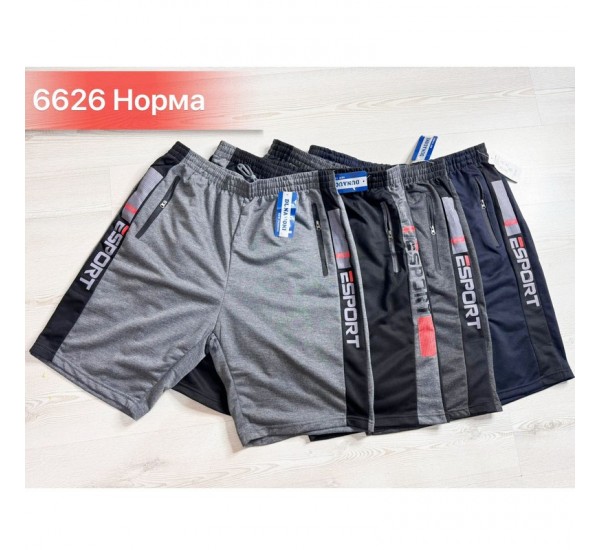 Шорти чоловічі, двунитка 6 шт (46-56 р) SeR2152_6626