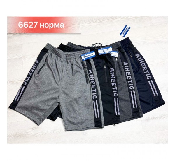 Шорти чоловічі, двунитка 6 шт (46-56 р) SeR2152_6627
