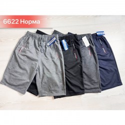Шорты мужские, двунитка 6 шт (46-56 р) SeR2152_6622
