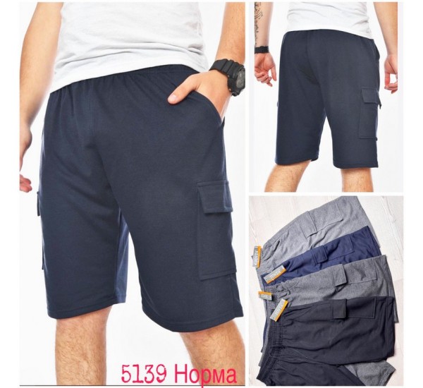 Шорти чоловічі, двунитка 5 шт (48-56 р) SeR2152_5139