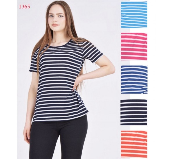 Футболка жіноча, коттон 6 шт (48-56 р) SeR2152_1365