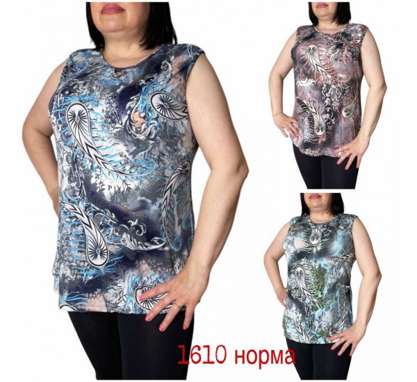 Майка жіноча трикотаж 6 шт (L-4XL) SeR2152_1610