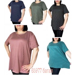Футболка жіноча трикотаж 6 шт (4-8XL) SeR2152_65977