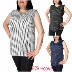 Майка жіноча трикотаж 6 шт (L-4XL) SeR2152_1678