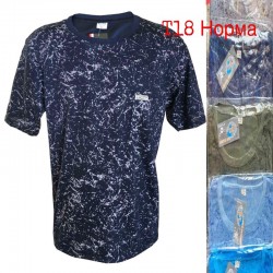 Футболка чоловіча трикотаж 6 шт (1-4XL) SeR2152_T18
