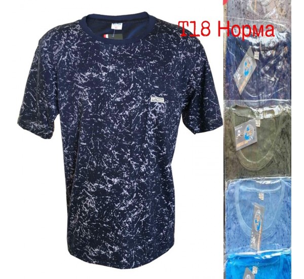 Футболка мужская трикотаж 6 шт (1-4XL) SeR2152_T18