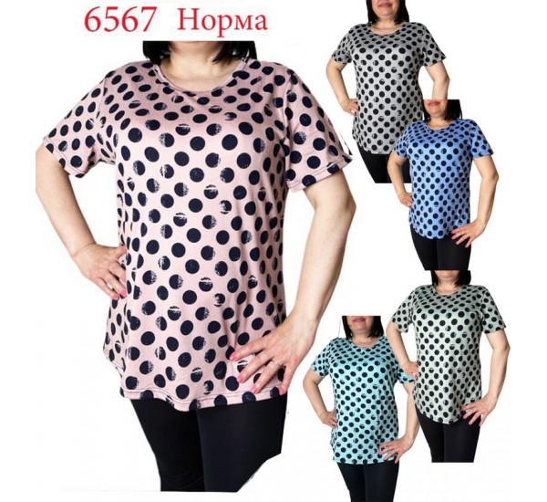 Футболка жіноча трикотаж 6 шт (L-4XL) SeR2152_6567