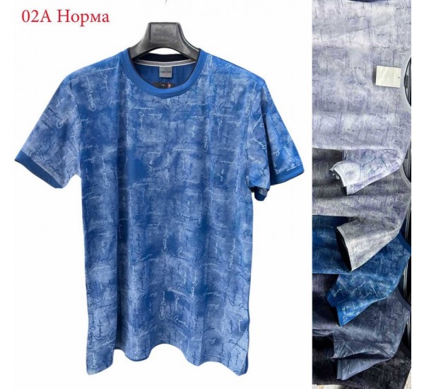 Футболка чоловіча трикотаж 5 шт (1-3XL) SeR2152_02A