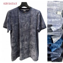 Футболка чоловіча трикотаж 5 шт (6-8XL) SeR2152_02B