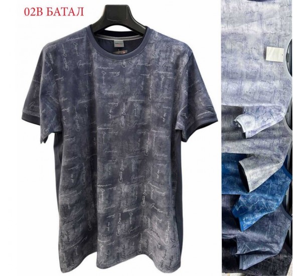 Футболка чоловіча трикотаж 5 шт (6-8XL) SeR2152_02B