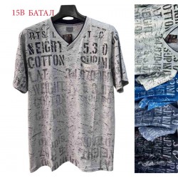 Футболка чоловіча трикотаж 5 шт (6-8XL) SeR2152_15B