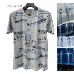 Футболка чоловіча трикотаж 5 шт (6-8XL) SeR2152_03B