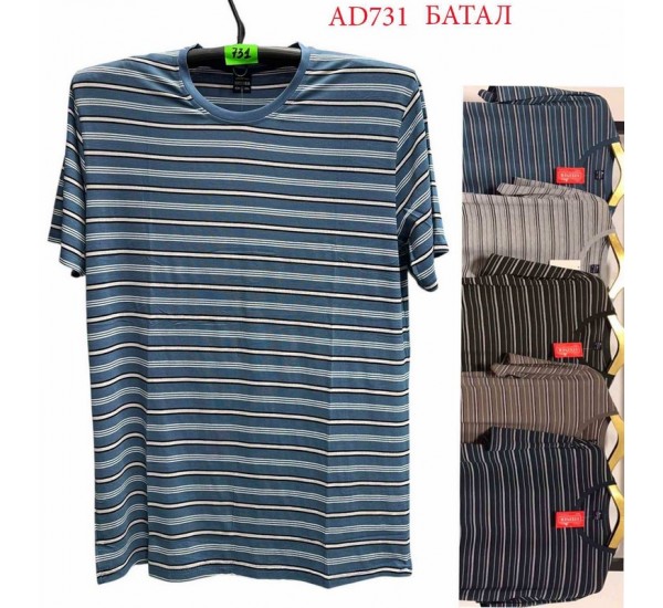 Футболка чоловіча трикотаж 5 шт (5-8XL) SeR2152_AD731