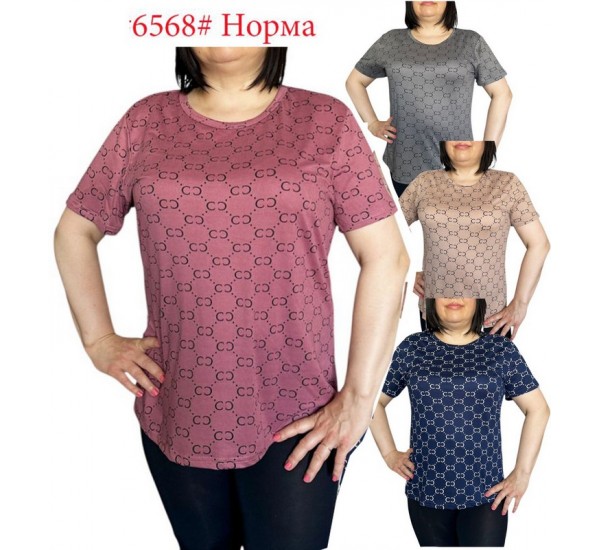 Футболка жіноча трикотаж 6 шт (L-4XL) SeR2152_6568